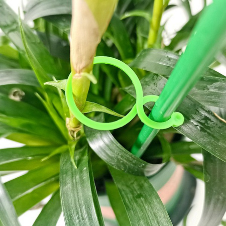 Clip for climbing plants - clip - 10 pcs- plastic clasp